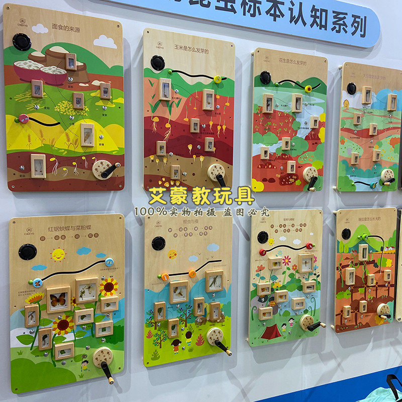 植物昆虫标本系列科技墙面