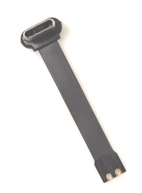 TYPE C 2PIN 公头FPC注胶款充电连接软排线L42mm