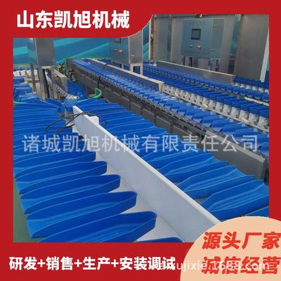 鸡脚称重分选机 鹅胗鹅头分拣机 全自动鸡爪大小分类高速分级机器