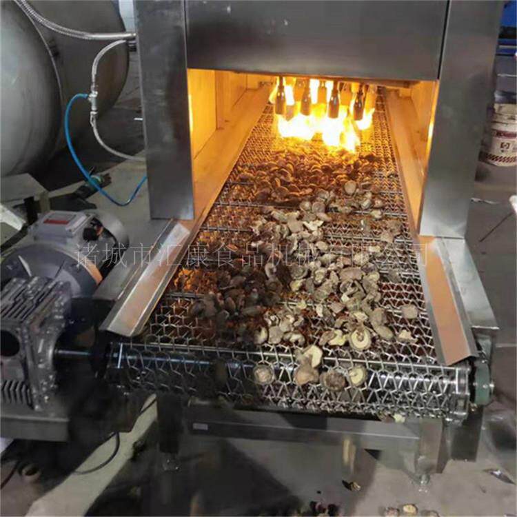 腊肉皮喷毛机 猪皮双层网带烧毛机 禽类皮长久烤毛清洗成套设备