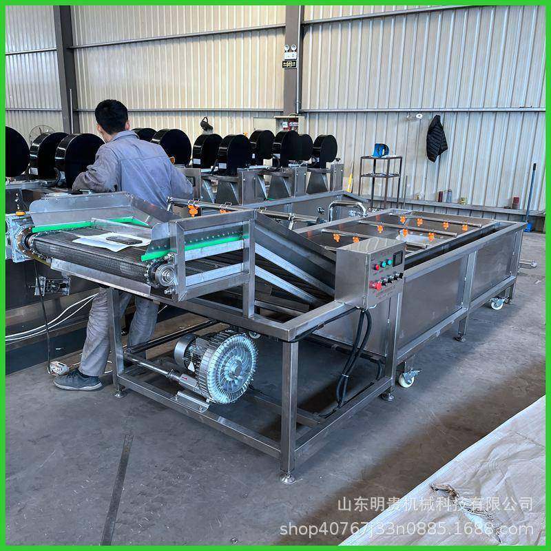 全自动山野菜气泡清洗机喷淋式紫薯清洗设备商用橘子清洗打蜡设备,清洗/食品/商业设备,果蔬加工设备,淘宝优惠券,粉丝福利购,淘宝优惠卷