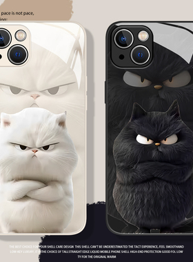 生气猫咪手机壳适用苹果15情侣16/iphone14promax可爱13创意12mini个性11新款x小众8plus趣味17女xs液态玻璃7