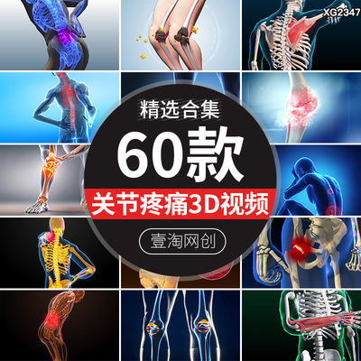 腰椎关节炎疼痛人体骨骼膝盖颈椎病医疗医学解析动画3D短视频素材