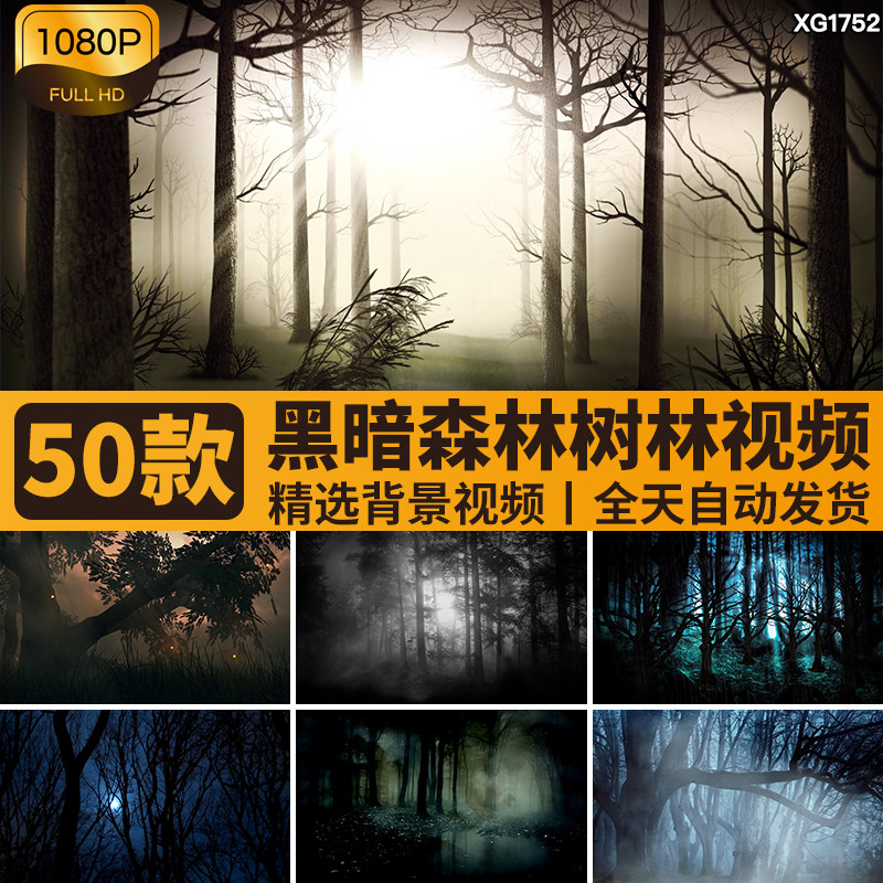 黑暗恐怖夜晚上森林迷雾幽暗神秘树林万圣节大屏LED背景视频素材