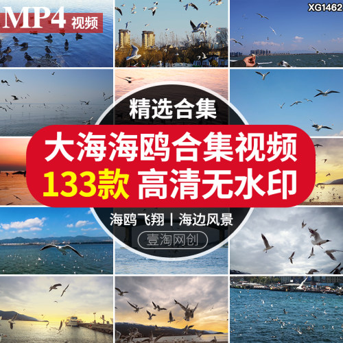 蓝天白云天空海鸥飞翔海洋沙滩海浪海边风景LED背景剪辑视频素材