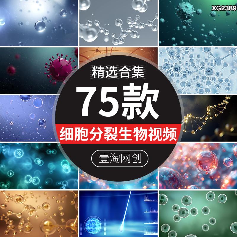 细胞分裂生物科技病毒抗体细胞分子克隆医疗临床医学动画视频素材