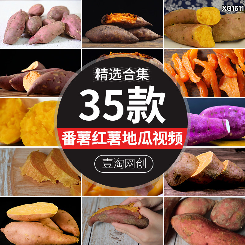 番薯地瓜红薯蜜薯农业田地山芋种植红苕甘薯丰收高清实拍视频素材