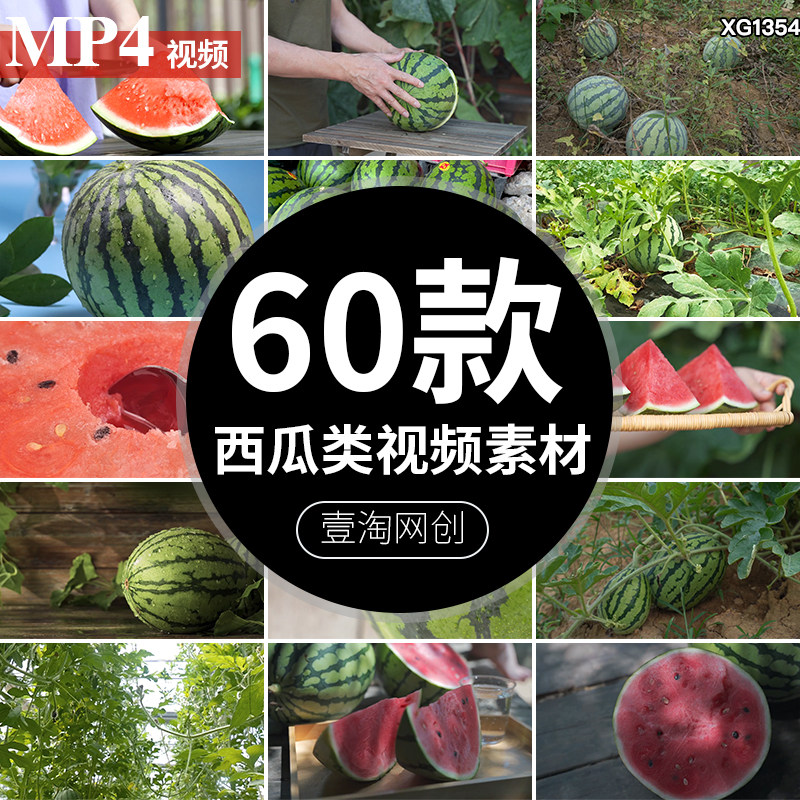 西瓜水果特写种植园瓜地瓜秧宣传片食材实拍自媒体短视频剪辑素材