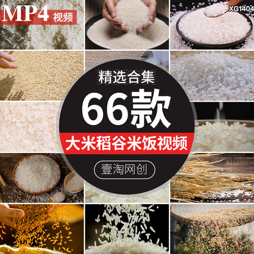 大米谷物粮食特写稻谷水稻米饭长粒米粒主食抖音自媒体短视频素材