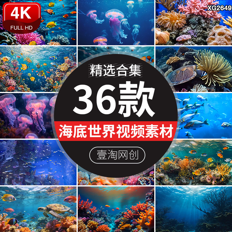 4K海洋海底世界生物珊瑚鱼群水母景观深海奇观蓝色海洋AI视频素材