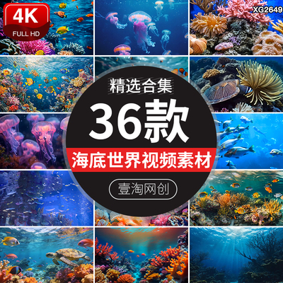 4K海洋海底世界生物珊瑚鱼群水母景观深海奇观蓝色海洋AI视频素材