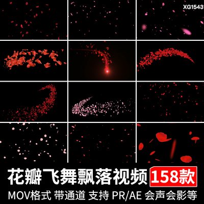 花瓣飘落唯美花朵飞舞樱花桃花特效pr/ae透明底通道动态视频素材