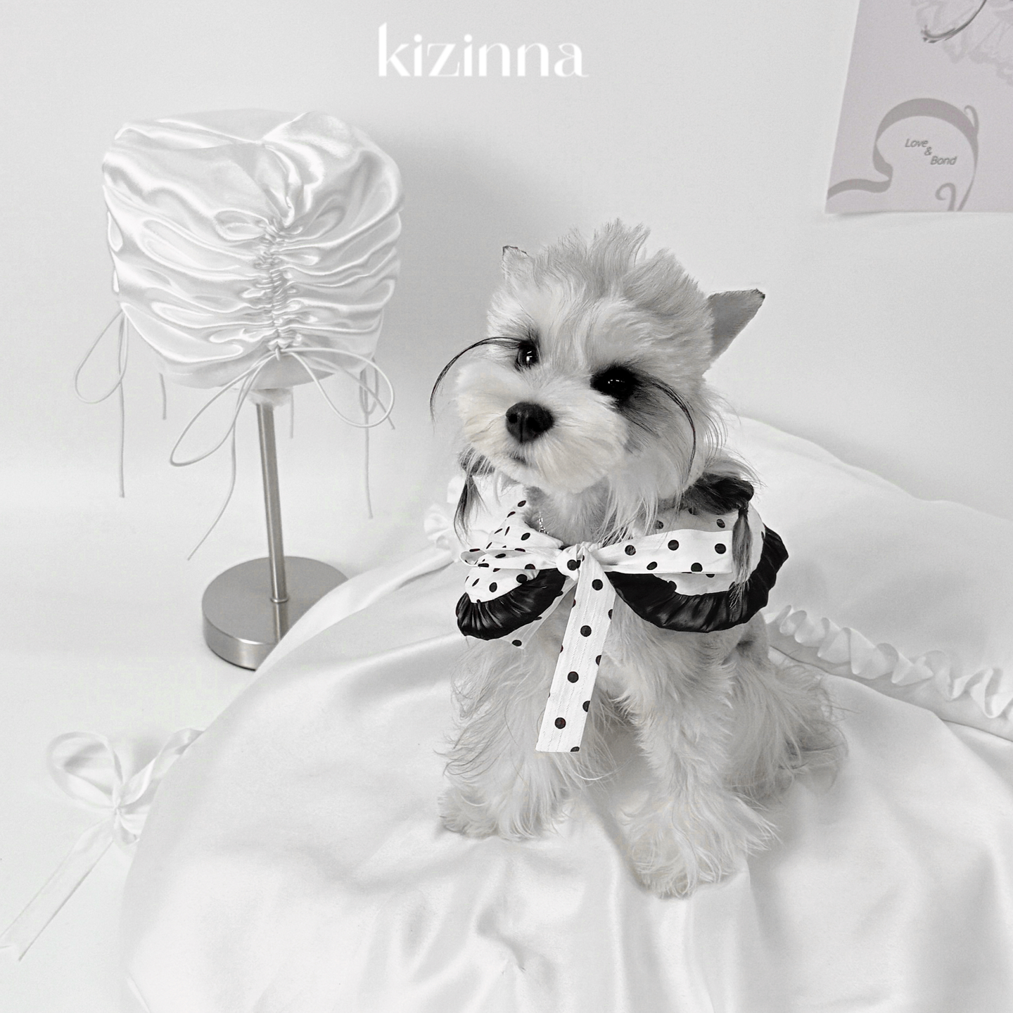 kizinna|圆舞曲 可爱波点充棉柔软保暖围兜 猫狗出片口水巾围脖
