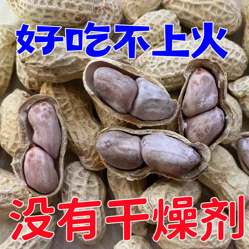 新货龙岩特产水煮白晒咸干湿烤带壳花生蒜香五香咸干原味花生米