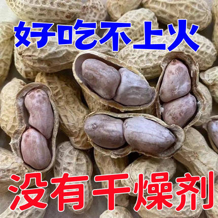 新货龙岩特产水煮白晒咸干湿烤带壳花生蒜香五香咸干原味花生米