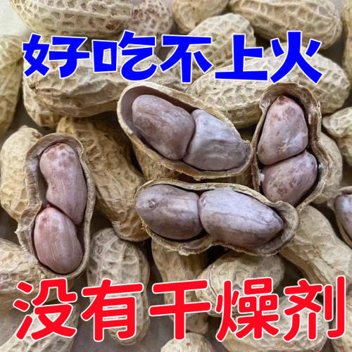 新货龙岩特产水煮白晒咸干湿烤带壳花生蒜香五香咸干原味花生米
