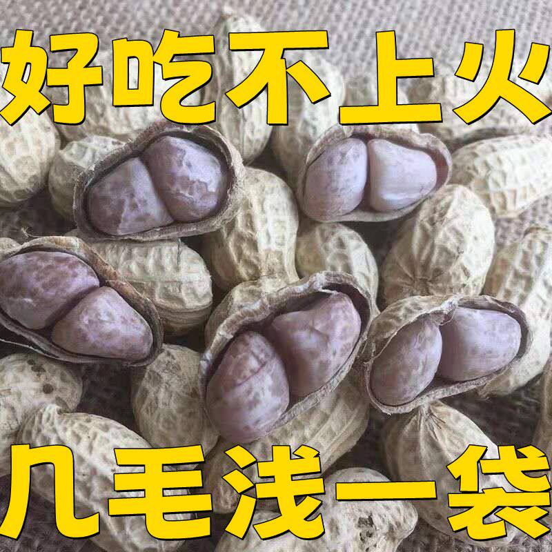 龙岩花生卤味花生水煮五香味带壳即食啤酒下酒小菜新鲜卤非白晒