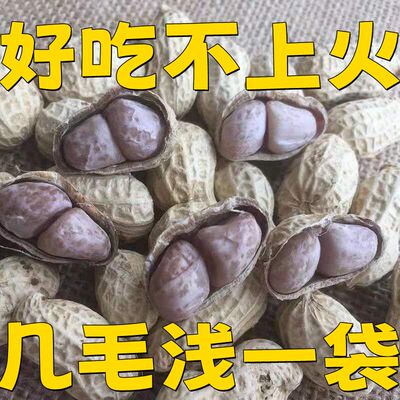 龙岩花生卤味花生水煮五香味带壳即食啤酒下酒小菜新鲜卤非白晒