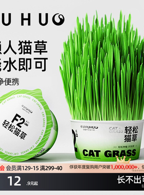俘获F2懒人猫草轻松猫草杯猫草盆栽子毛猫咪助水化培盒球