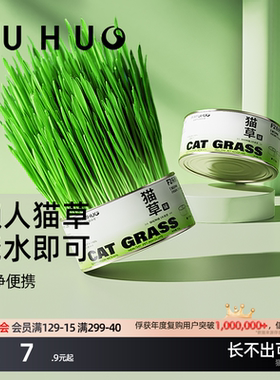 俘获F2猫草猫草盆栽水懒人猫草罐头培幼猫咪助草化薄毛荷片膏盆