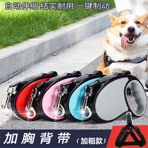 狗狗牵引自动伸缩遛狗绳狗链子中