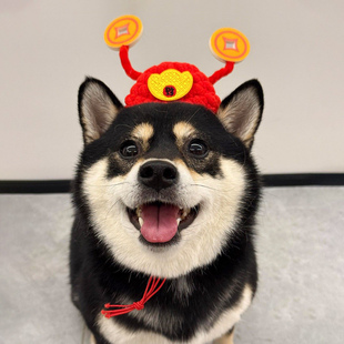 财神帽宠物狗狗帽子2026新年喜庆头饰柴犬比熊泰迪猫咪拜年配饰