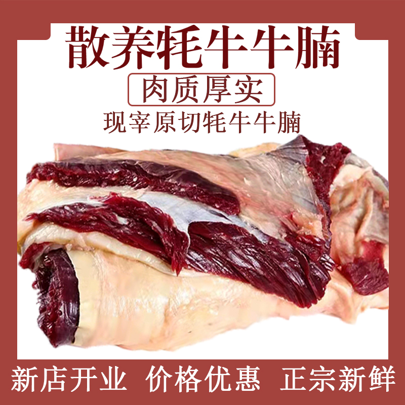 牦牛腩肉3斤起新鲜青海祁连山正宗牦牛牛腩每日现杀国产源头直发