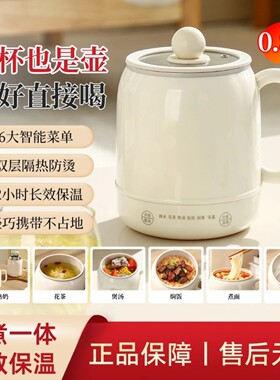 航华生活坊多功能热水壶家用养生杯壶旅行便携烧水壶恒温炖煮杯