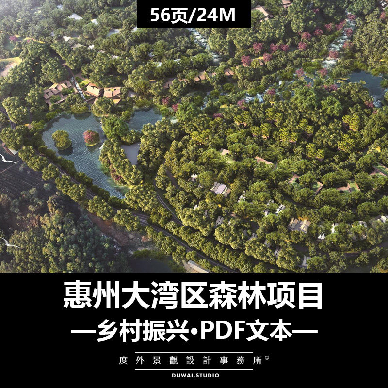 2022景观文本©惠州大湾区森林项目/乡村振兴/建筑景观设计方案