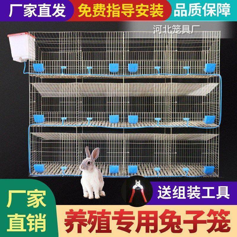 母家用兔子笼兔笼子12位子加粗24兔子商品9位种兔笼舍三层位笼