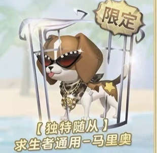 【现货】第五人格真理之下首批典藏马里奥求生随从cdk兑换码