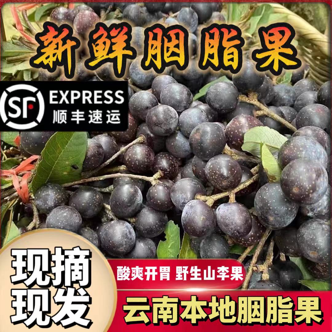 新鲜胭脂果山李子鬼眼睛果云南德宏野生新鲜水果酸酸果孕妇顺丰