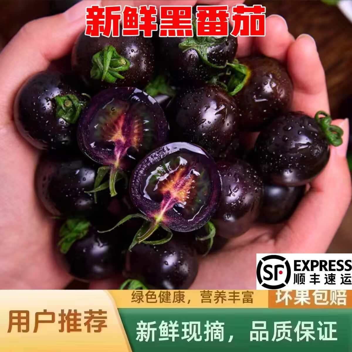 山东寿光黑色小番茄即食黑珍珠圣女果花青素紫色水果现摘顺丰包邮