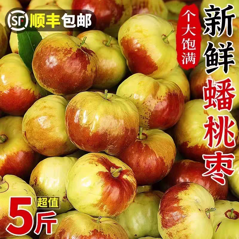 云南蟠枣新鲜蜜罐枣子非大荔冬枣脆甜青枣大果当季孕妇水果发包邮