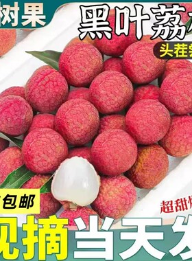 福建黑叶荔枝新鲜现摘现发10老树妃子桂笑味水果当季整箱包邮甜斤