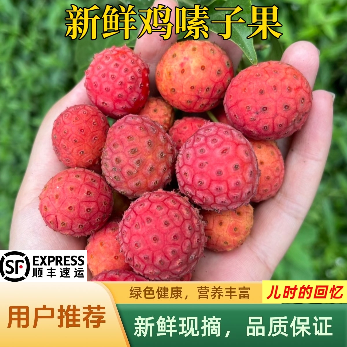 云南高山野生鸡嗉子果山荔枝覆盆果四照花稀有香甜美味水果现货