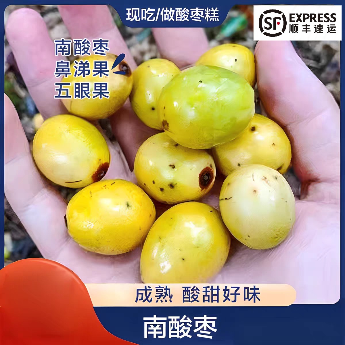 云南酸枣现货水果纯野生酸枣新鲜酸甜南酸枣五眼果鼻涕果孕妇原味