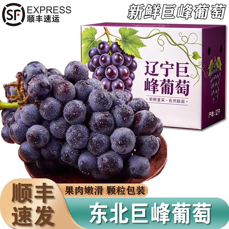 东北巨峰葡萄新鲜无籽当季孕妇水果黑提非辽峰顺丰包邮整箱5斤装