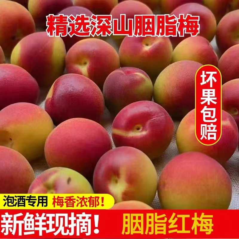 精选深山胭脂梅5斤泡酒红梅新鲜现摘青梅泡酒专用酸梅子 云南