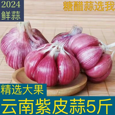 2024云南紫皮大蒜新鲜蒜头湿蒜新蒜丫蒜腊八蒜糖醋蒜大蒜头现挖蒜