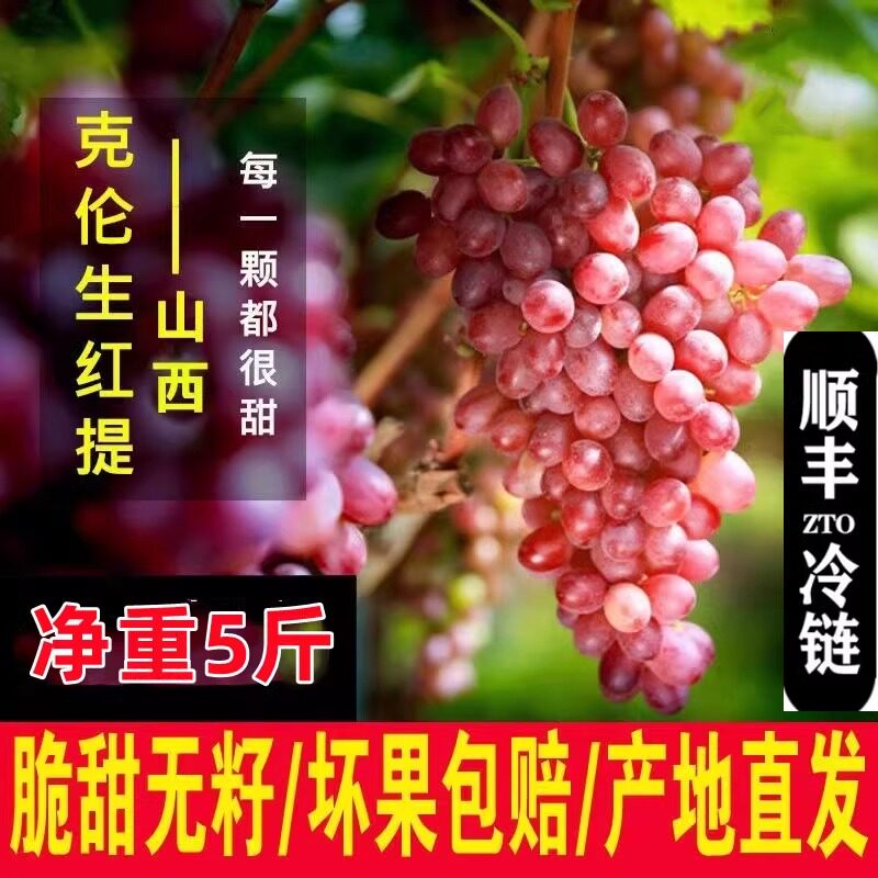 精品克伦生葡萄新鲜山西无籽红提子红宝石葡萄脆甜无核孕妇水果