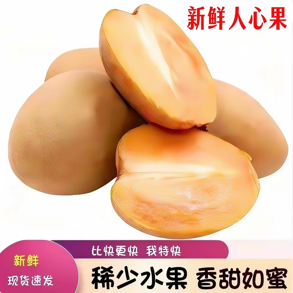 现摘人心果5斤新鲜应当季孕妇水果热带仙人果人参果特产现货速发