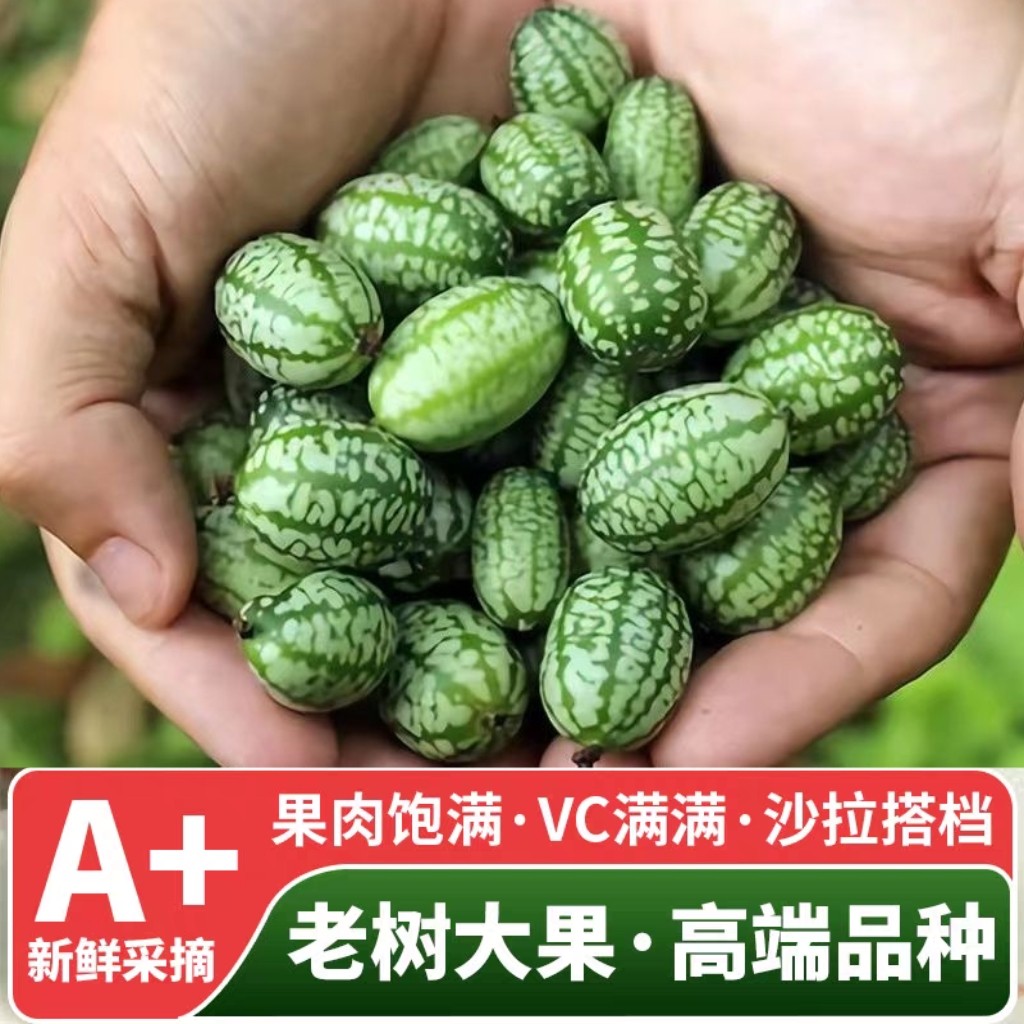 特色水果拇指西瓜新鲜果250g迷你网红母子小瓜佩普基诺稀奇生鲜