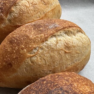 包邮 ·面包类满100 酸包 鞑厨高寒·小炮弹