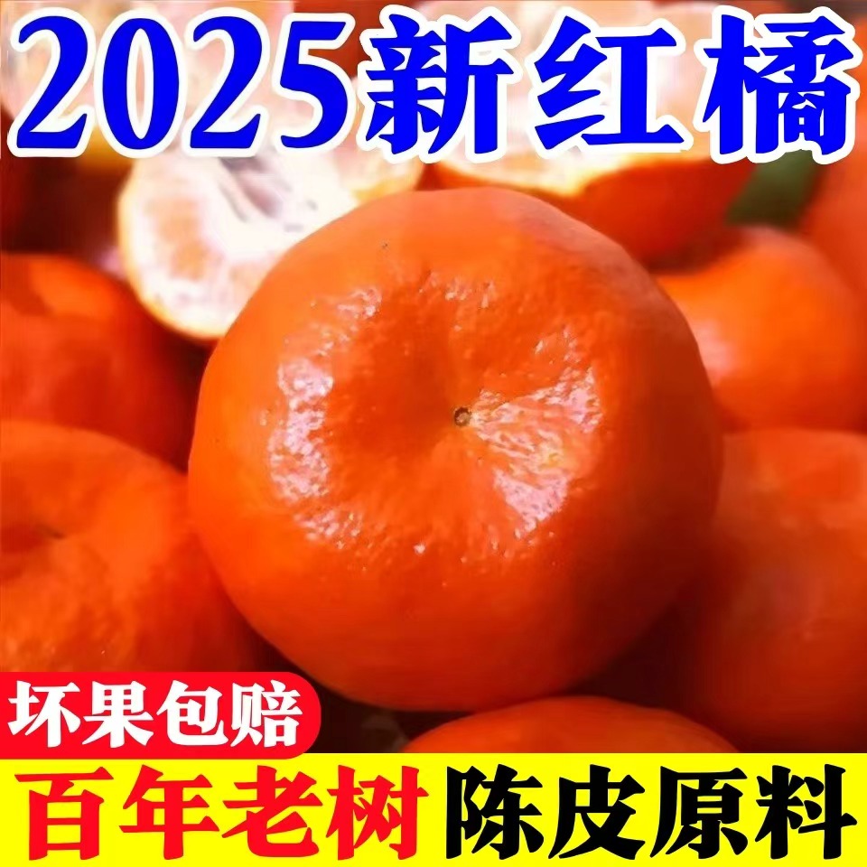 新鲜红橘金桔金钱柑橘桔子