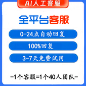电商AI客服大模型自动回复机器人抖店拼多多千牛智能客服工具
