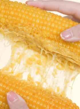 鑫禾兴泉10根头茬东北黄糯玉米黄金铝箔独立包装小棒12-14cm2500g