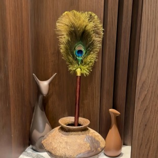 孔雀翎掸子家用除尘掸子除尘扫灰家用静电加长松孔雀羽毛鸵鸟羽毛
