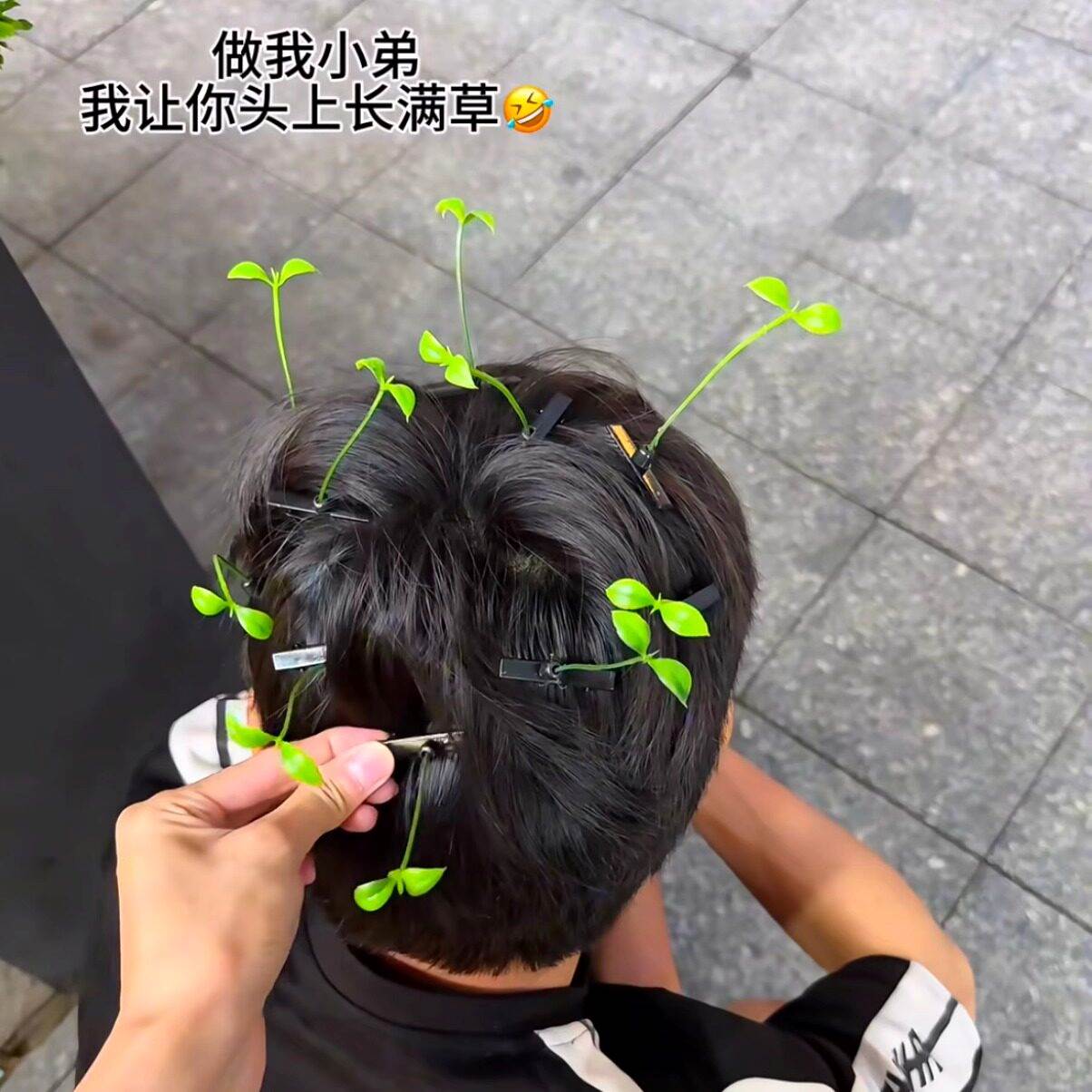 小草发夹创意慢羊羊同款智慧草发卡学生趣味抽象小玩意立体发饰女
