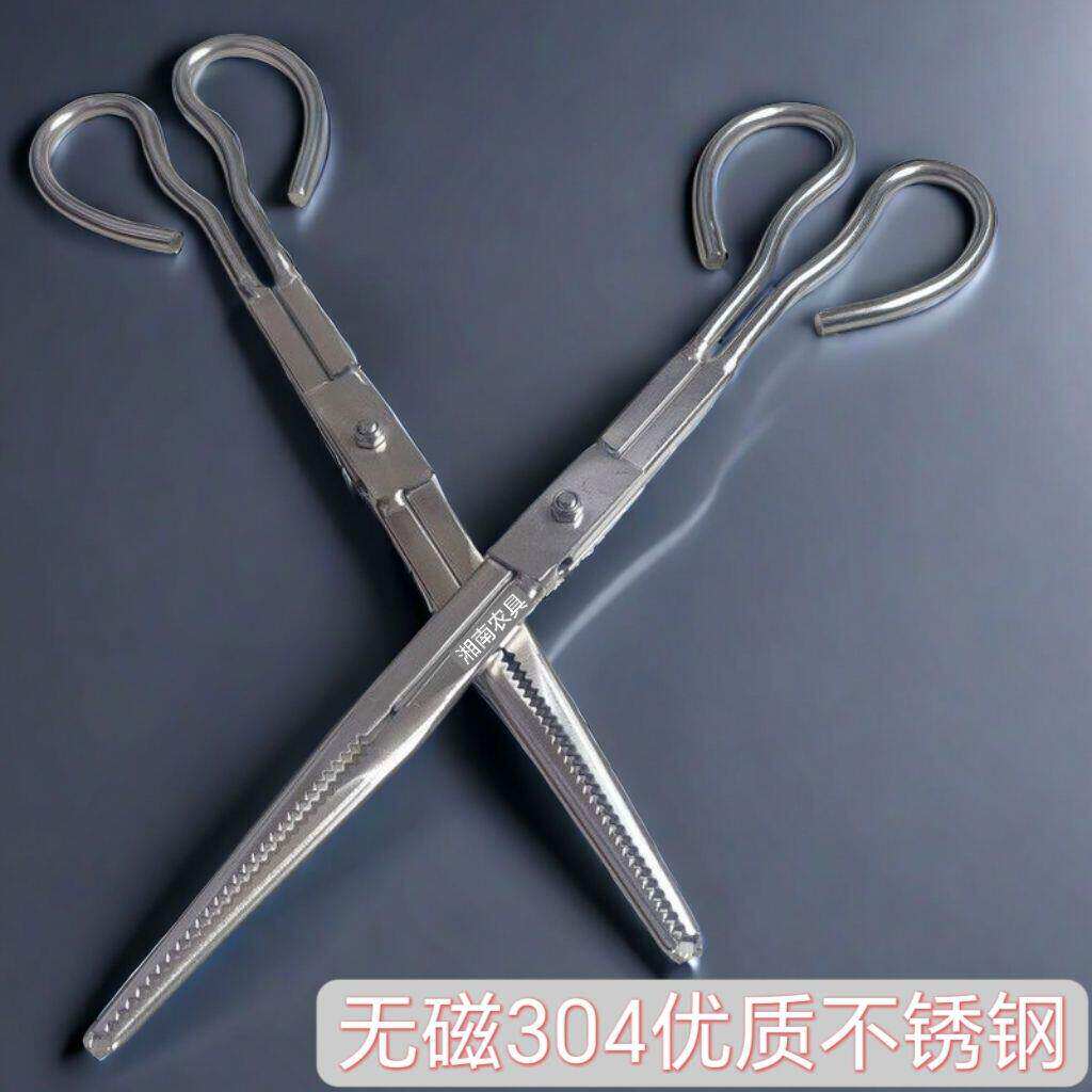 不锈钢黄鳝夹子防滑防脱赶海神器多功能控鱼夹鳝鱼泥鳅螃蟹专用钳